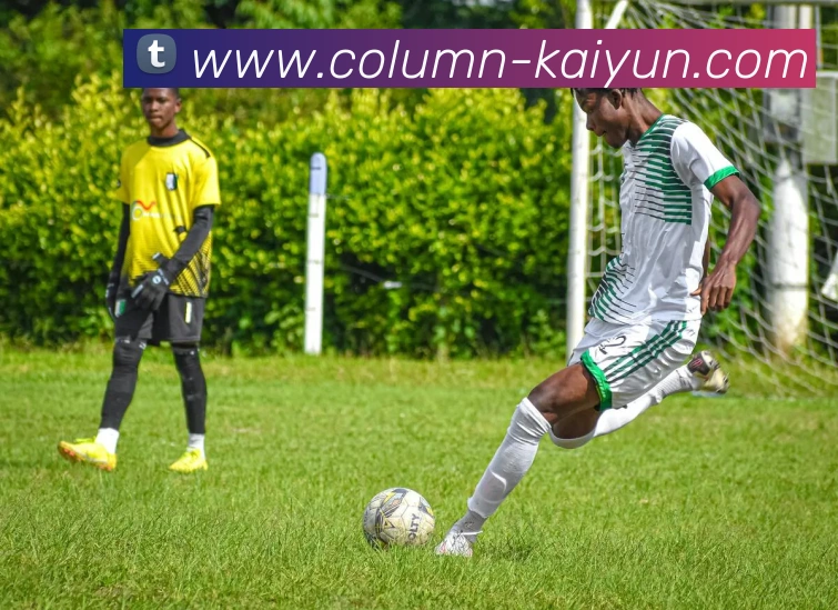 问鼎娱乐官网平台生态图